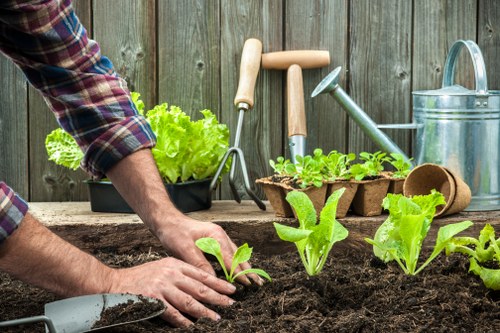 Accessible landscaping website content for Surbiton users