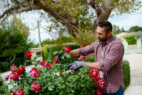 Screen-reader friendly landscaping information for Surbiton