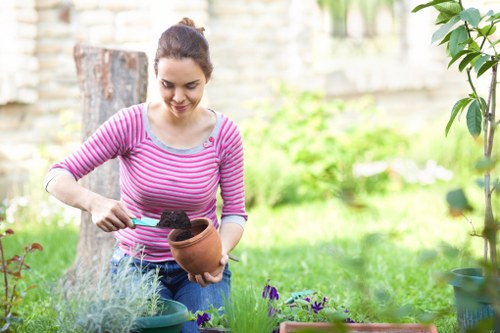 Site safety and liability considerations on a landscaping project