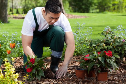 Outdoor landscaping project consultation and scheduling documents