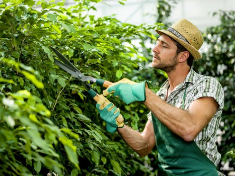 Professional landscaping details in a Surbiton outdoor space