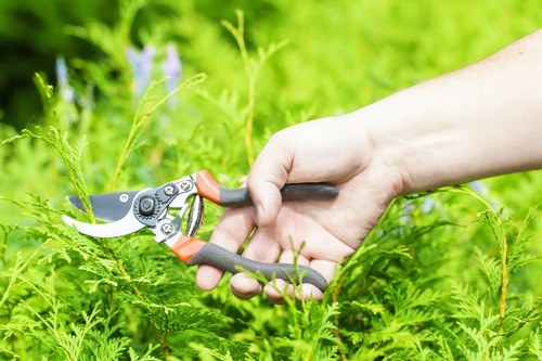Keyboard-navigable Surbiton landscaping website section