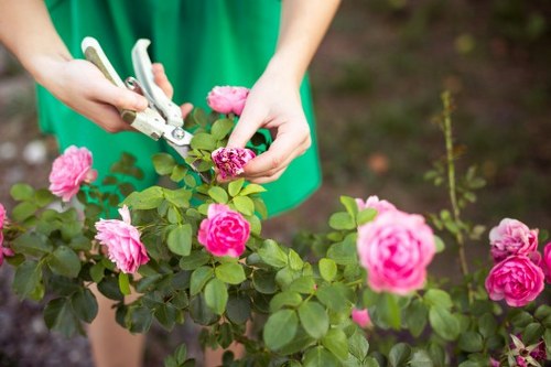 Payment and invoice details for landscaping services